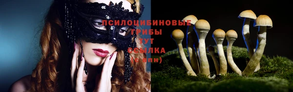 соль курить ск Алексеевка