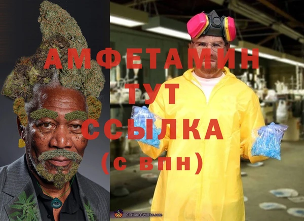 прущий лед Алзамай